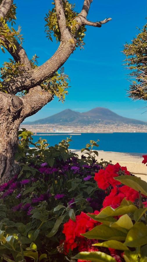 Anticaglia 13 Apartment Napoli Ngoại thất bức ảnh